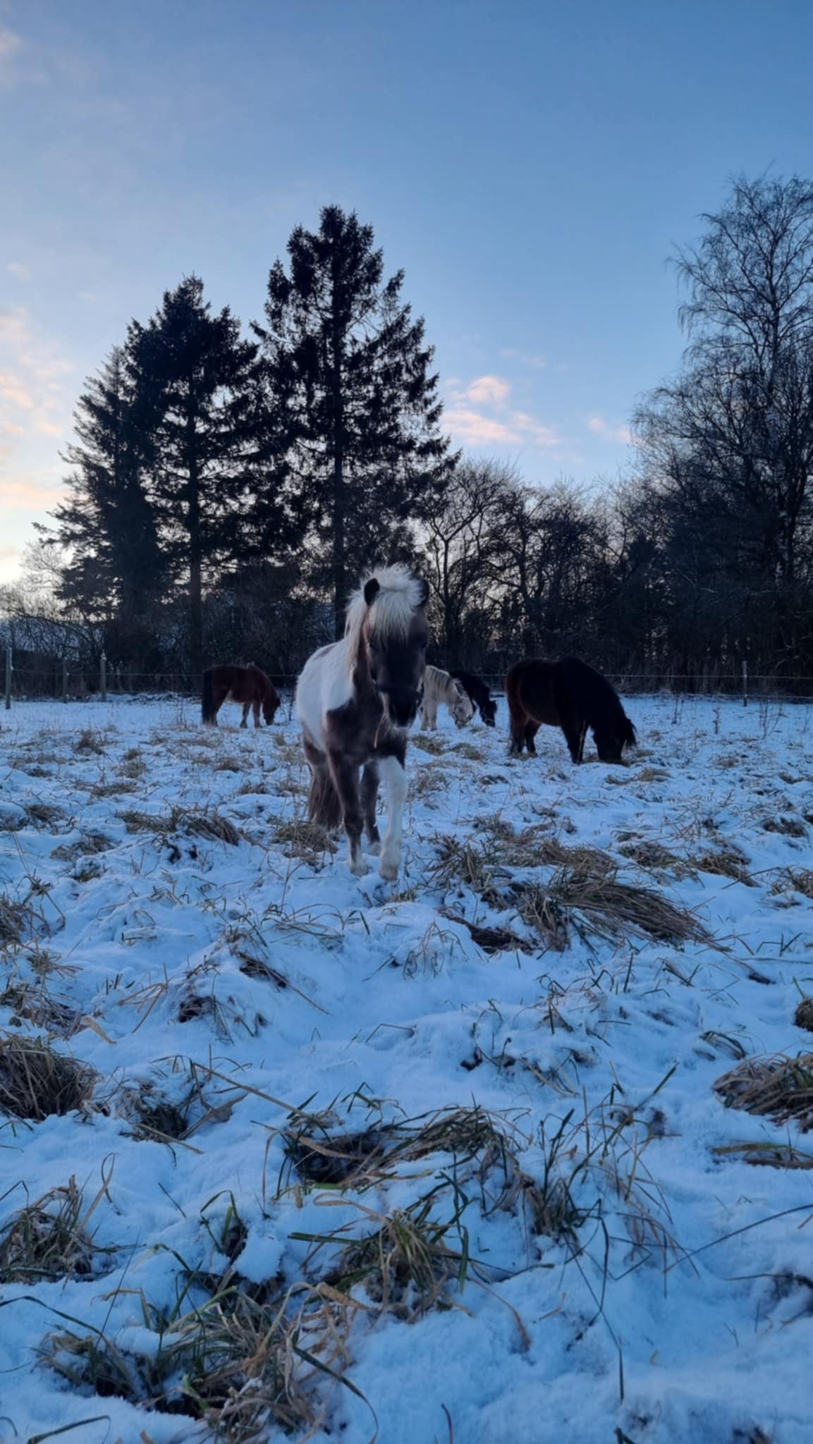 3rd of February 2026 