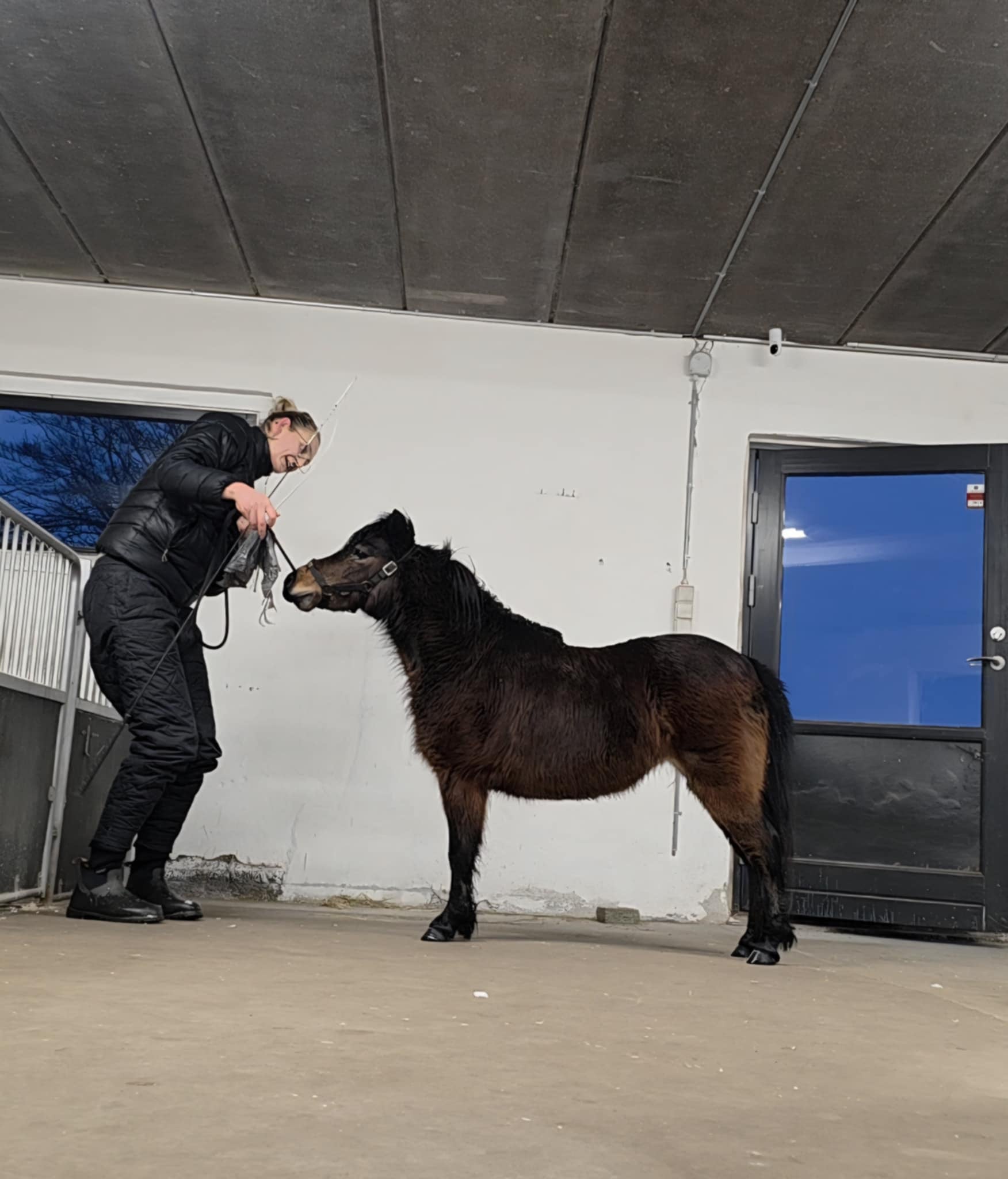 1st of February 2026