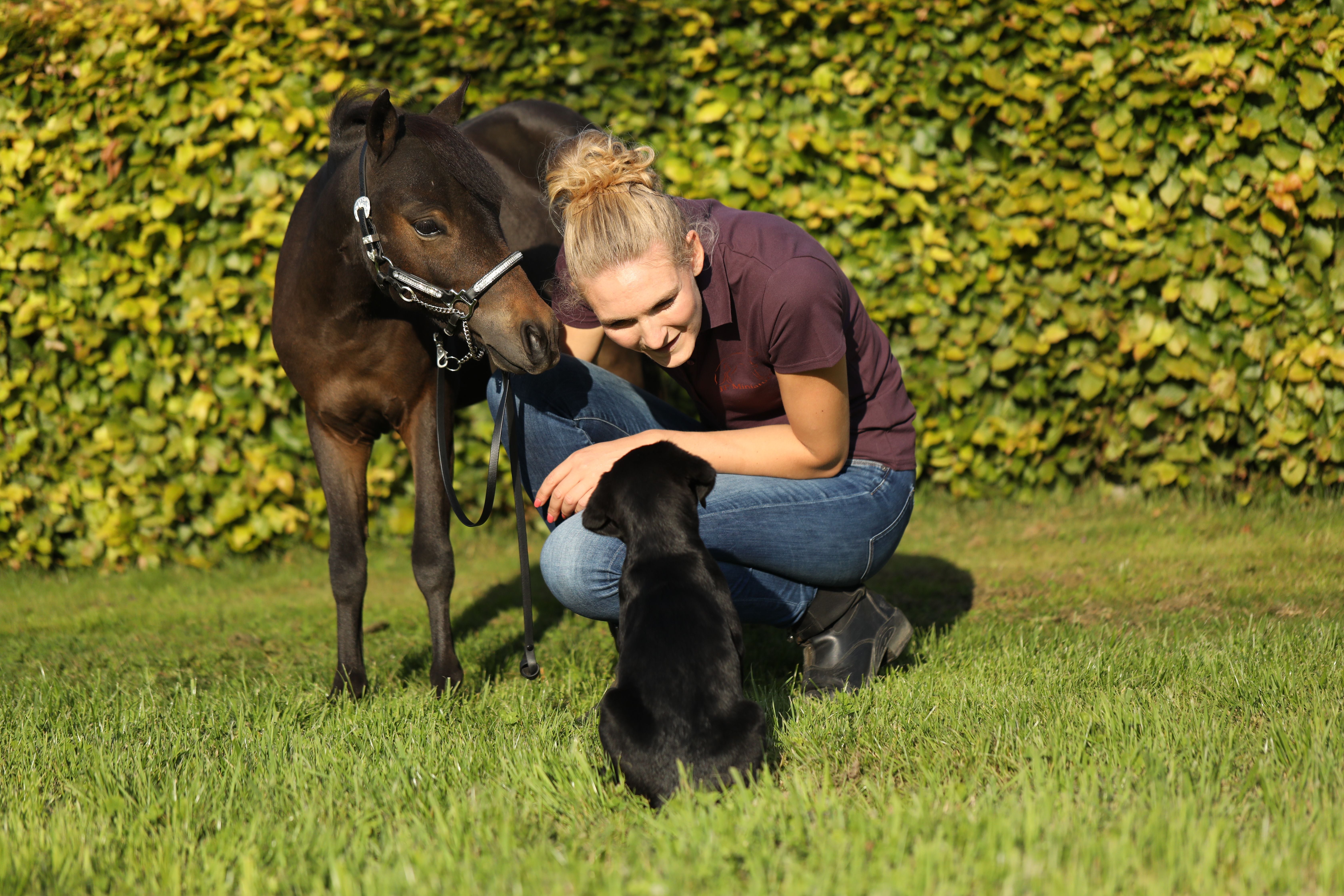 Royal Supreme BT Pagani & Torkild - 2021