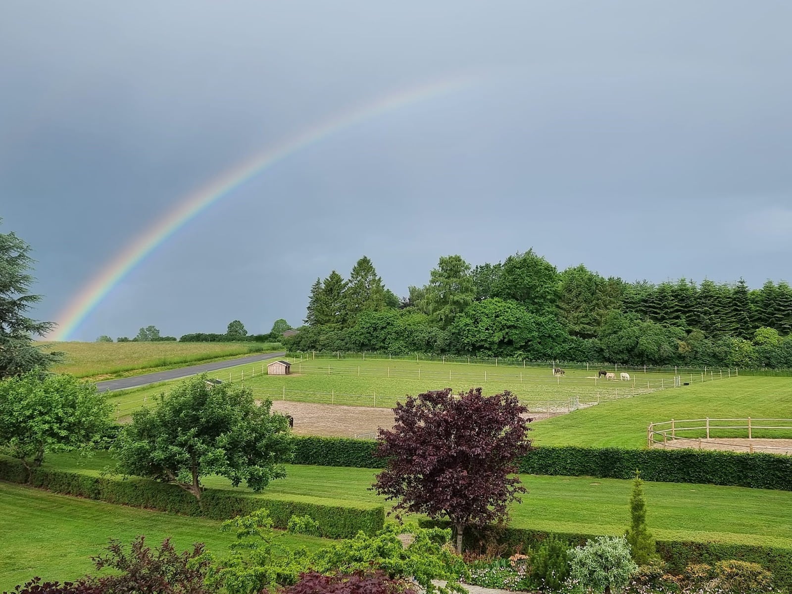 Rainbow over our fields... 