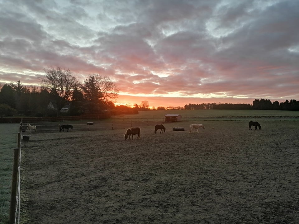 Fall evening in the field.